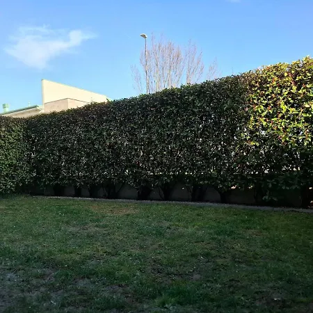 Il Sogno Di Elisa